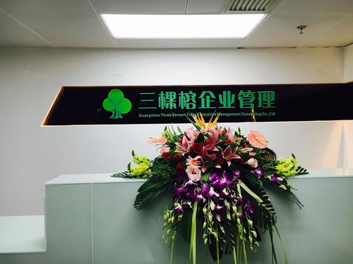 專業(yè)賦能，助力成長 廣州三棵榕企業(yè)管理顧問的價值與實(shí)踐