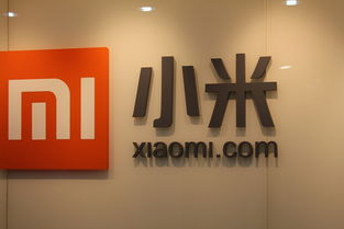 路飯網播報 小米特色功能引關注，Google AdSense廣告業務意外受干擾